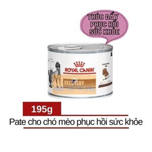 Royal Canin Recovery 195g