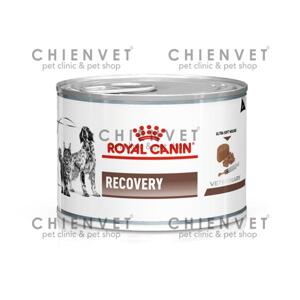 Royal Canin Recovery 195g