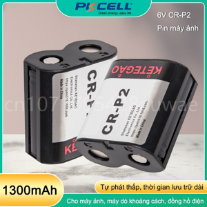 Sạc Pin P2