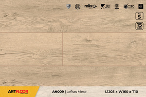 Sàn gỗ Artfloor AN009