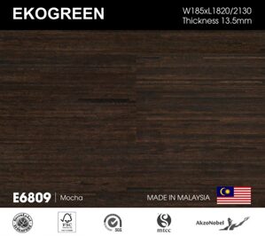 Sàn gỗ Ekofine Mocha – Engineered Ekogreen E6809