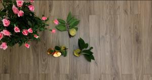 Sàn gỗ Morser MC137