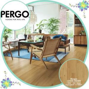 Sàn gỗ Pergo Bergen 05009