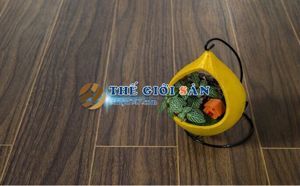 Sàn gỗ Robina W15