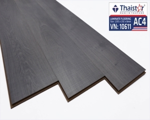 Sàn gỗ Thaixin 10611