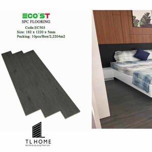 Sàn nhựa hèm khóa Ecost EC403