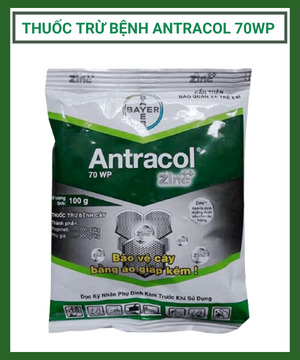 Sản phẩm trừ nấm bệnh - Antracol 70Wp 100G
