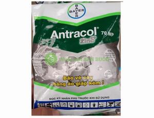 Sản phẩm trừ nấm bệnh - Antracol 70Wp 100G