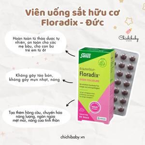 Sắt viên hữu cơ Floradix hộp 84 viên