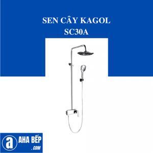 Sen cây Hàn Quốc nano SC30A