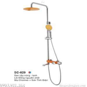 Sen cây nóng lạnh Euroto SC-829