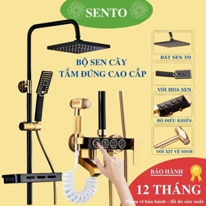 Sen cây nóng lạnh Roland ST01