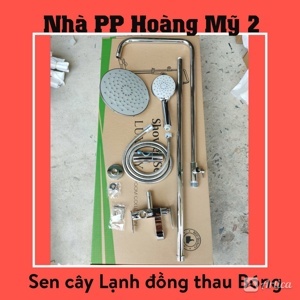 Sen cây tắm lạnh Sandra SD-023