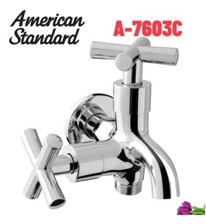 Sen tắm American A-7603C