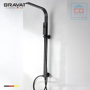 Sen tắm cây Bravat D224K-ENG