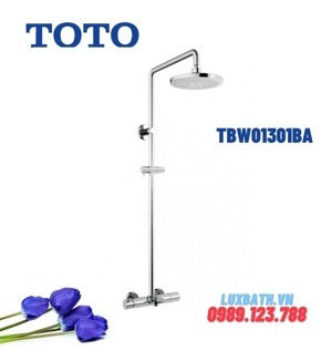 Sen tắm cây Toto TBW01301BA