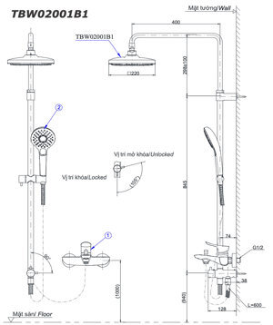 Sen tắm cây Toto TBW02001B