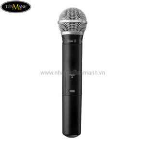 Bộ Micro không dây Shure SVX 24E/PG28