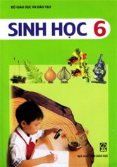 Sinh học 6