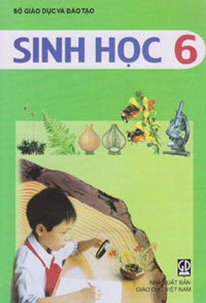 Sinh học 6