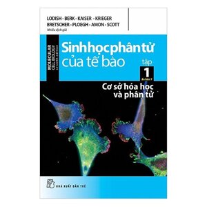 Sinh học phân tử của tế bào (T1): Cơ sở hóa học và phân tử - Nhiều tác giả