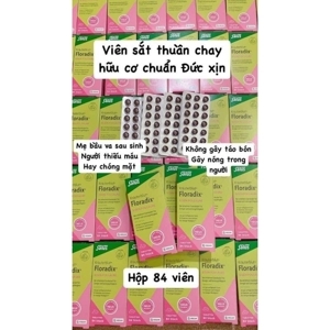 Siro bổ sung sắt Floradix Salus - 250ml