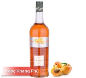 Siro Giffard Apricot (Mơ) 1L