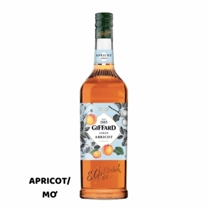 Siro Giffard Apricot (Mơ) 1L