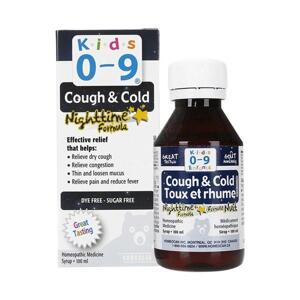 Siro ho và cảm lạnh đêm Cough & Cold Nighttime Formula