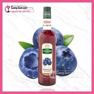 Siro Teisseire Syrup Cranberry (Nam Việt Quất) 700ml