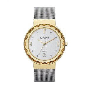 Đồng hồ nữ Skagen SKW2002