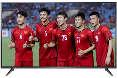 Smart Tivi TCL 4K 65 inch 65P6 (L65P6)