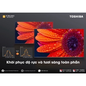 Google Tivi Toshiba 4K 75 inch 75C350LP