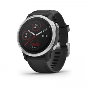 Smart Watch Garmin Fenix 6S 42mm