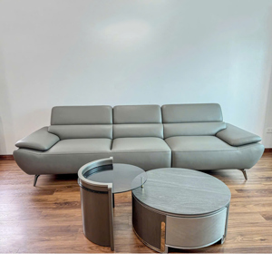 Sofa cao cấp Hòa Phát SF502