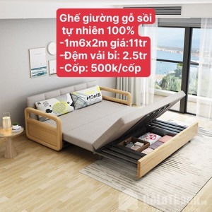 Sofa giường SG20