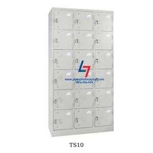 Sơn 85010 TS-10