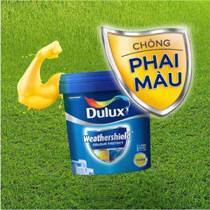 Sơn ngoại thất Dulux Weathershield Colour Protect bóng E023 - 1 lít