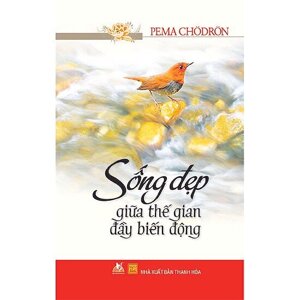 Sống đẹp giữa thế gian đầy biến động