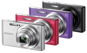 Máy ảnh kỹ thuật số Sony Cyber shot DSC-W830 - 20.1 MP