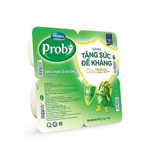 Sữa chua Probi 100g