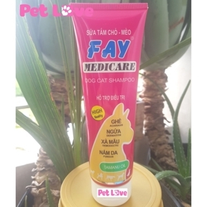 Sữa Tắm Fay Medicare 285ml