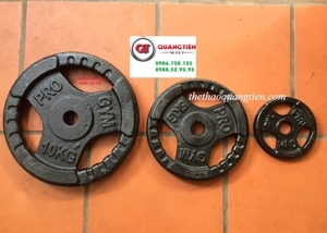 Tạ đĩa gang 10 kg QT06