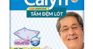 Tã giấy người lớn Caryn L10 (L-20)