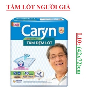 Tã giấy người lớn Caryn L10 (L-20)