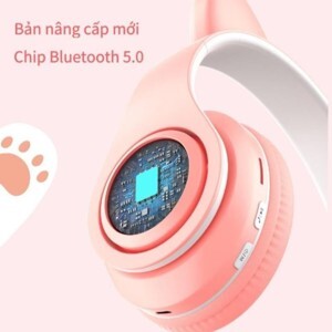 Tai nghe AKZ-020 chụp tai