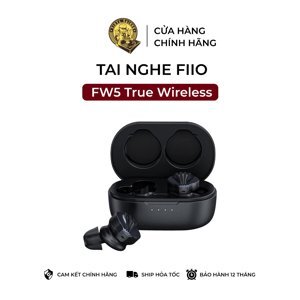 Tai nghe FiiO FW5