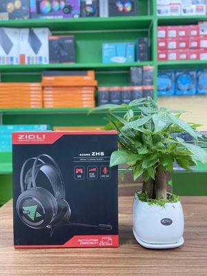 Tai nghe - Headphone Zidli ZH6+