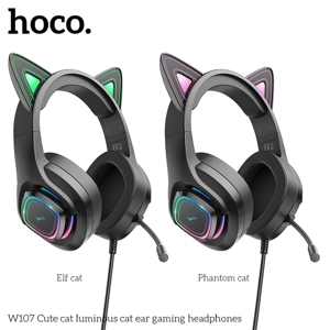 Tai nghe Hoco W107
