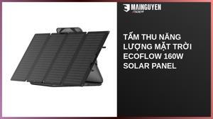 Tấm pin năng lượng mặt trời gập gọn EcoFlow 160W Solar Panel